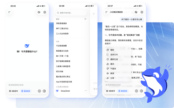 DeepSeek 全球骨干网络分流